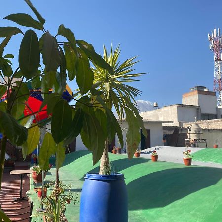 ארקוויפה Pusary Hostel מראה חיצוני תמונה